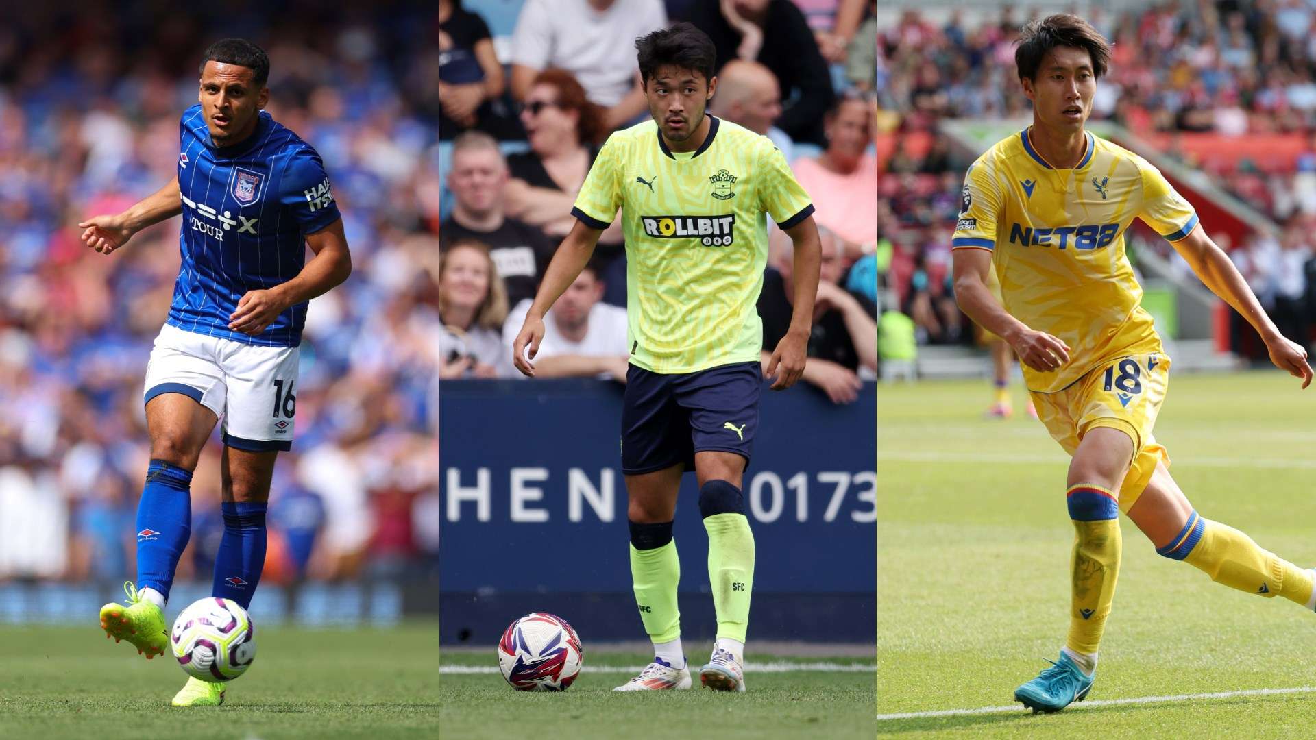 他們以毋庸 他們以毋庸